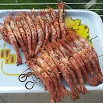 Nyaraló Giulia E Andrea *