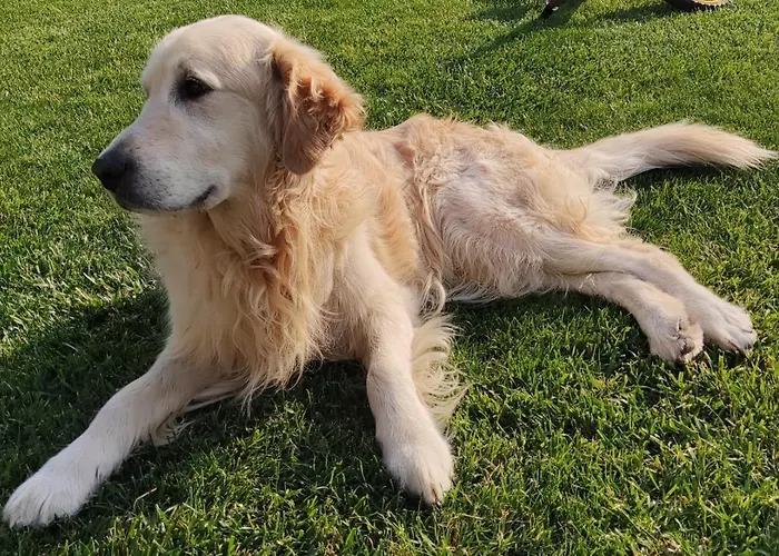 Giulia E Andrea Prázdninový dům