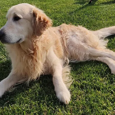 Giulia E Andrea Σπίτι διακοπών